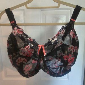 Elomi bra 38H